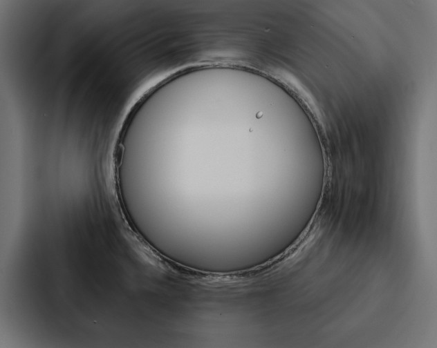X0000088181336200705150932