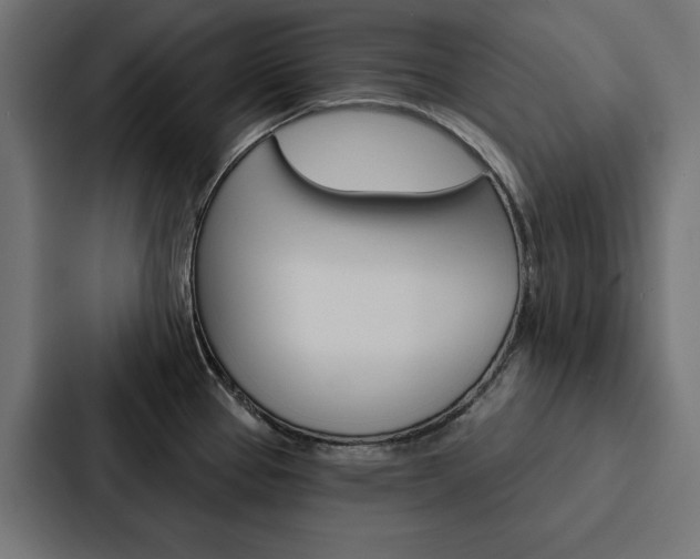 X0000088181337200705150932