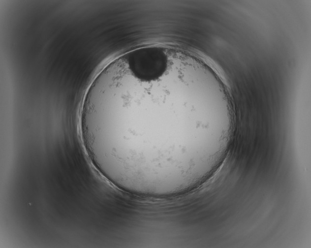 X0000088181338200705150932