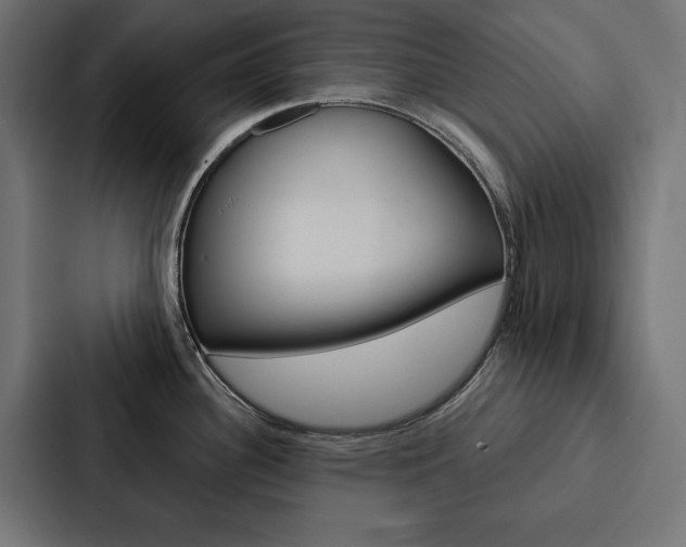 X0000088181340200705150932