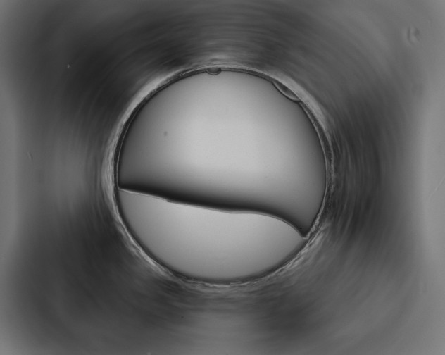 X0000088181341200705150932