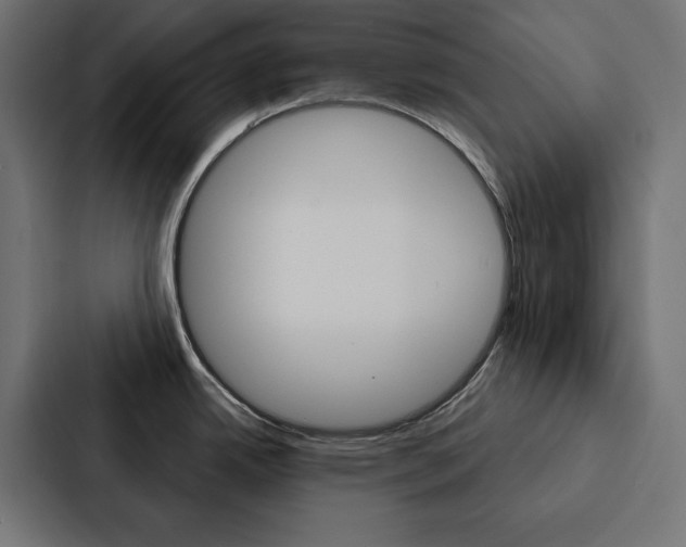 X0000088181342200705150932