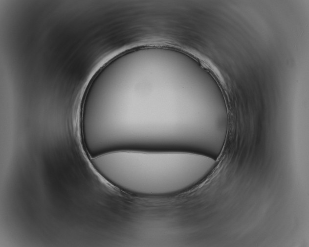 X0000088181343200705150932