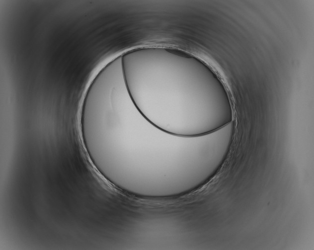 X0000088181344200705150932