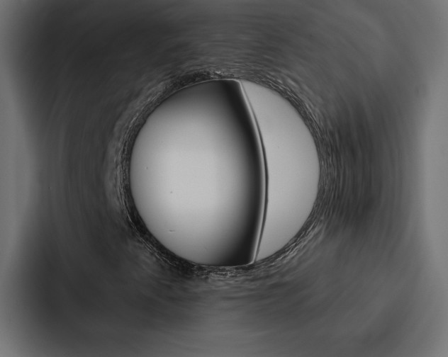 X0000088181345200705150931