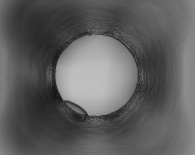 X0000088181346200705150931