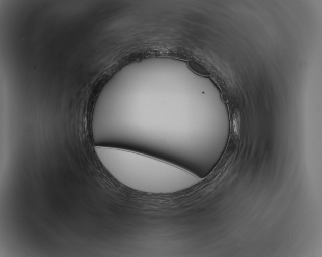 X0000088181347200705150931