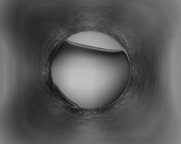 X0000088181349200705150931