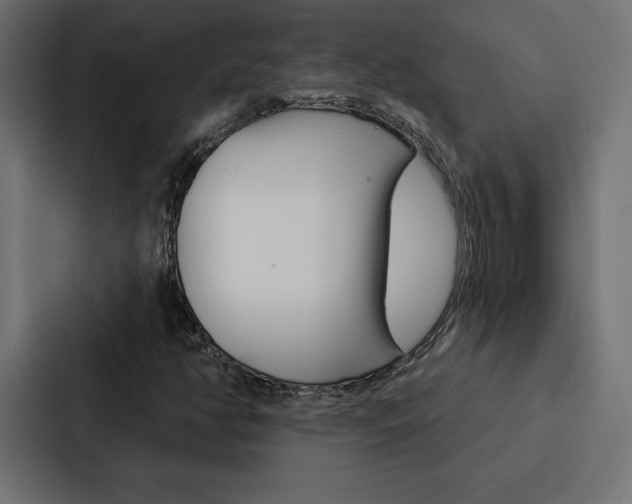 X0000088181350200705150931