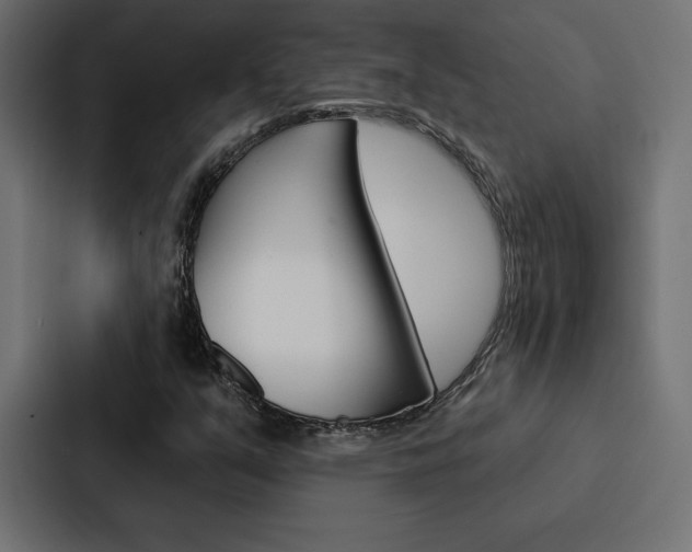 X0000088181351200705150931