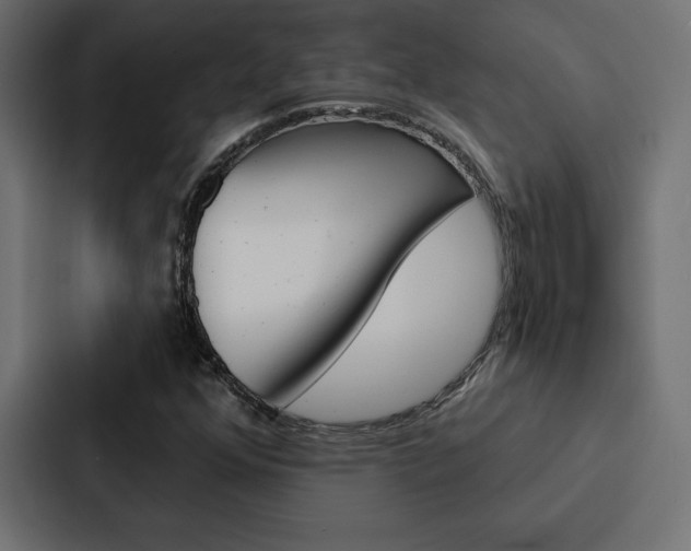 X0000088181352200705150931