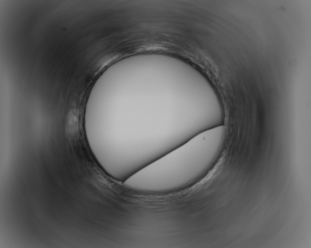 X0000088181353200705150931