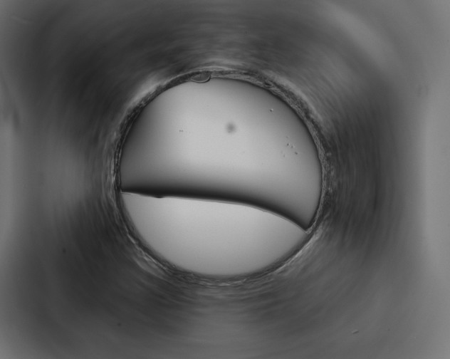 X0000088181355200705150931