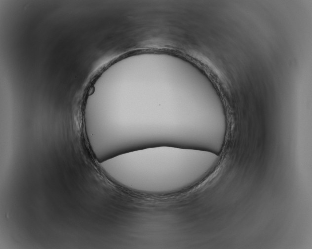 X0000088181358200705150931
