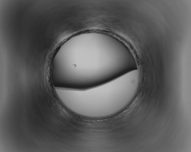 X0000088181359200705150931