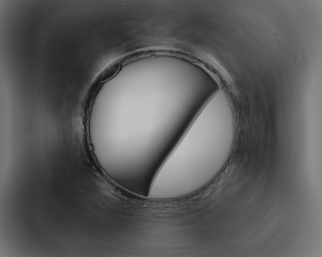 X0000088181360200705150931