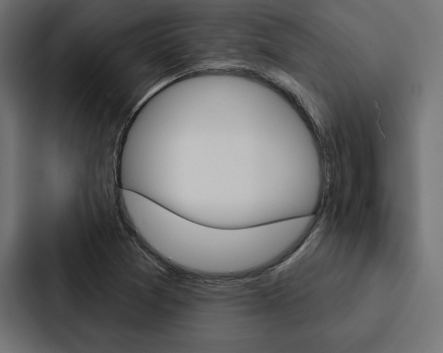 X0000088181361200705150931