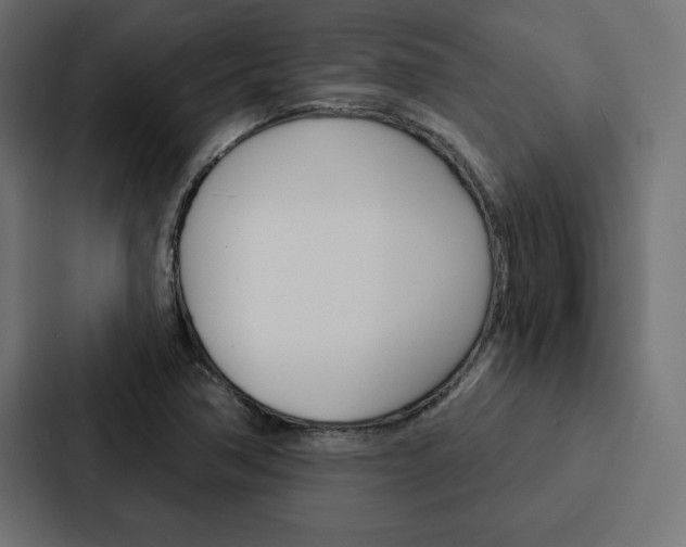 X0000088181362200705150931