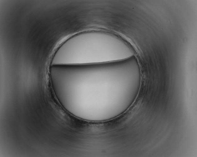 X0000088181363200705150931