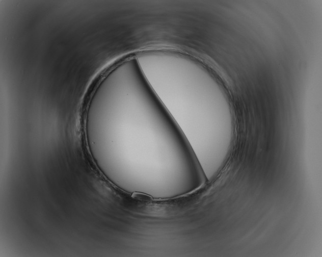 X0000088181364200705150931