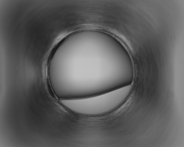 X0000088181365200705150931