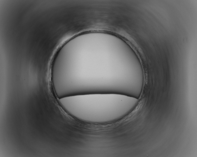X0000088181366200705150931