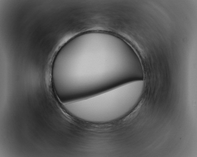 X0000088181367200705150931