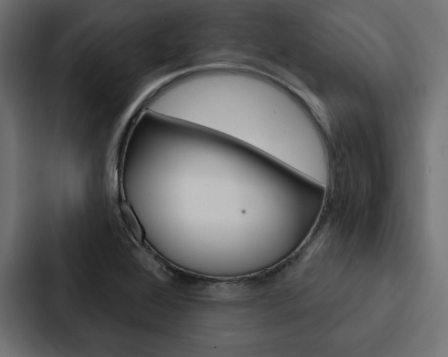 X0000088181368200705150931