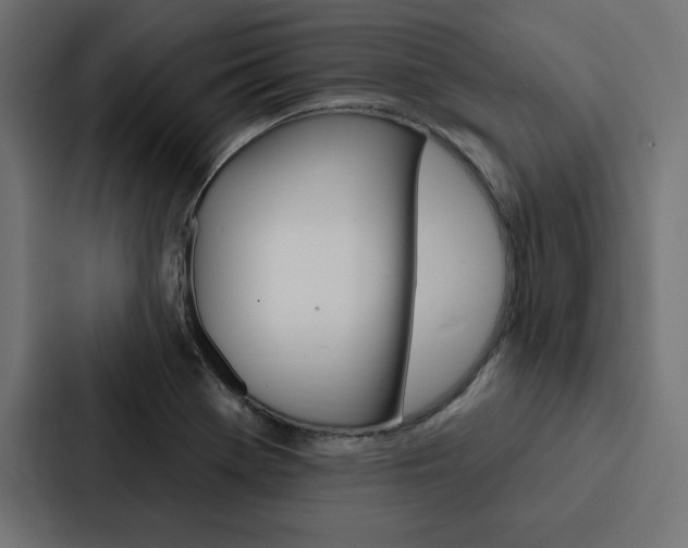 X0000088181369200705150931