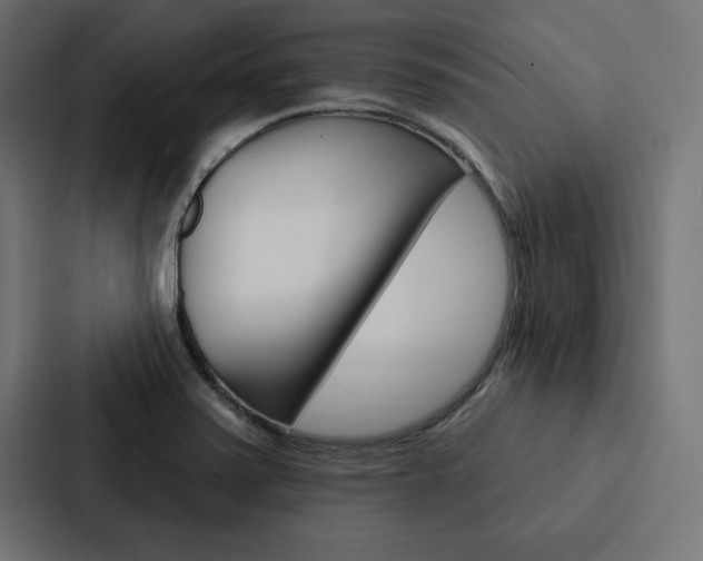 X0000088181371200705150931