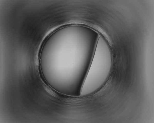 X0000088181372200705150931