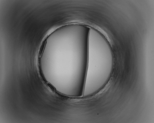 X0000088181373200705150931