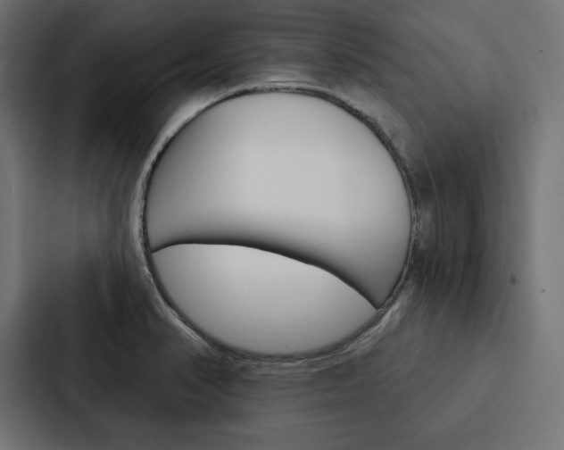 X0000088181374200705150931