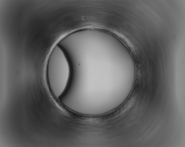 X0000088181375200705150931