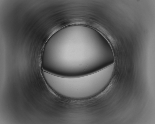 X0000088181377200705150931