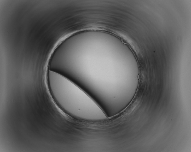 X0000088181379200705150931