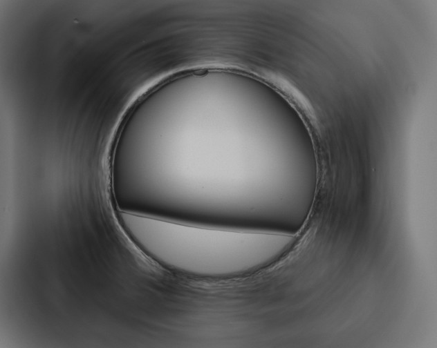 X0000088181380200705150931