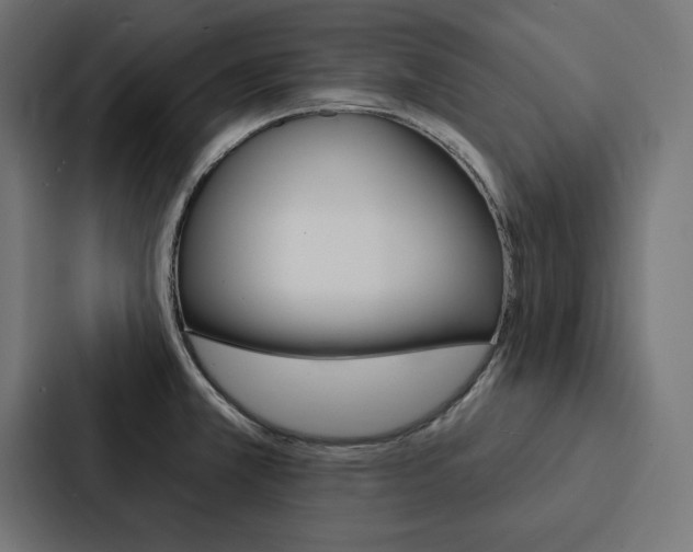 X0000088181381200705150931