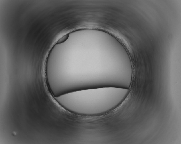X0000088181382200705150931