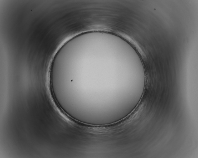 X0000088181383200705150931