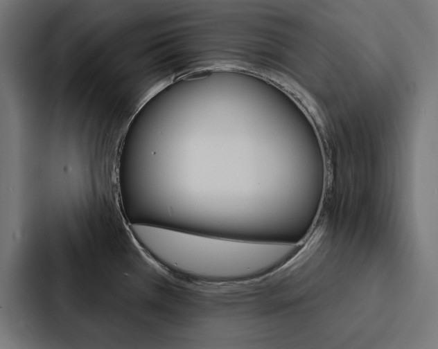 X0000088181385200705150931