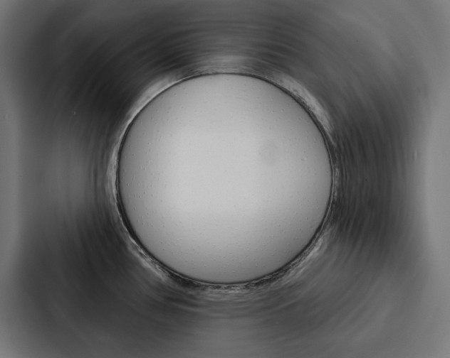 X0000088181386200705150931