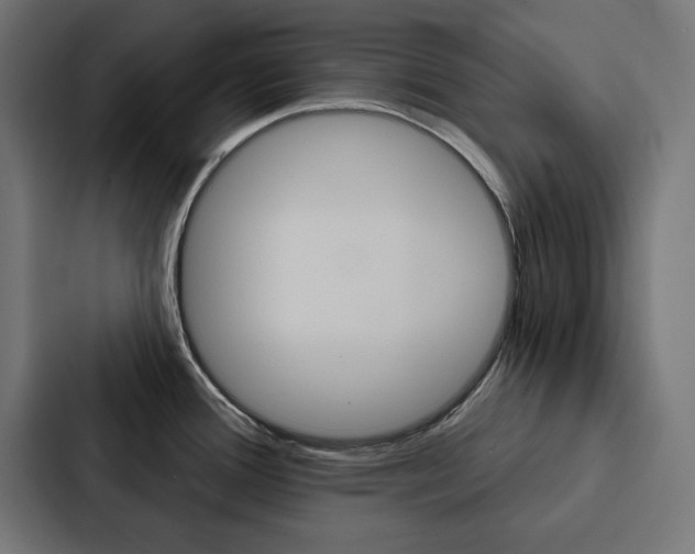 X0000088181388200705150931