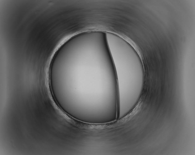 X0000088181389200705150931