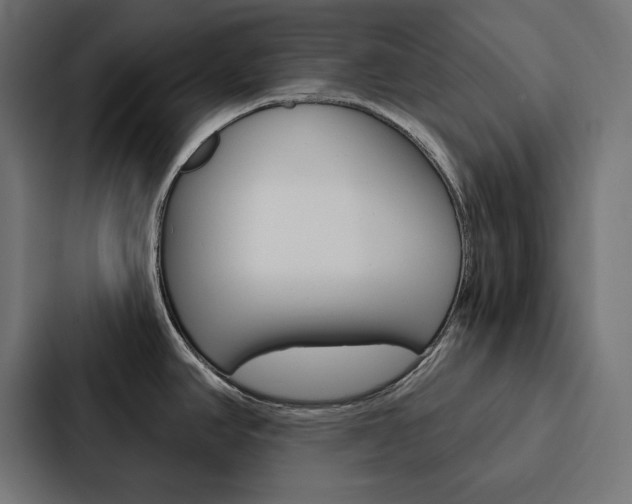 X0000088181390200705150931
