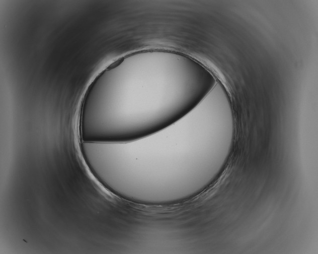 X0000088181391200705150931