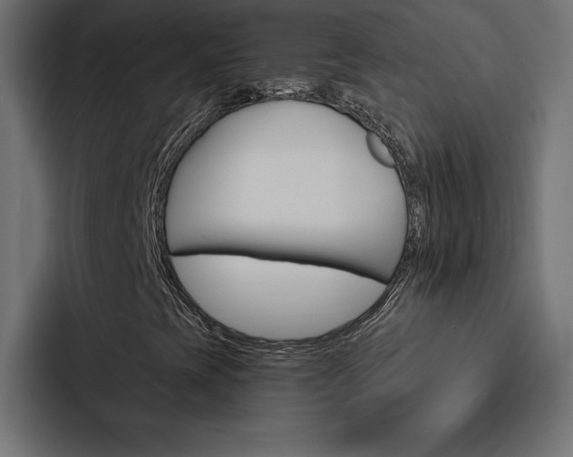 X0000088181393200705150930