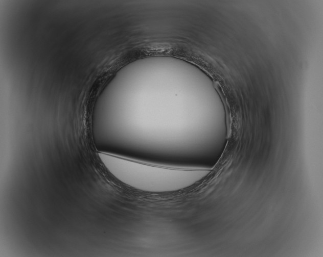 X0000088181394200705150930