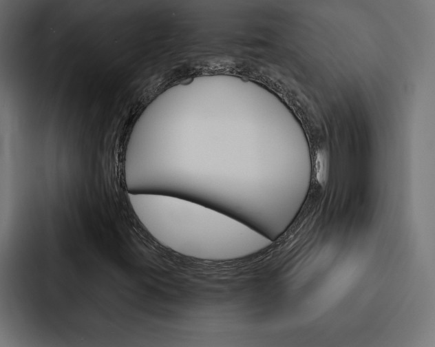X0000088181395200705150930