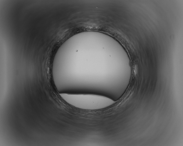 X0000088181396200705150930